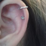 kep_ful_beloves_porc_ref_12