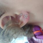 kep_ful_beloves_ref_35